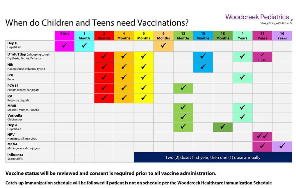 Vaccine Schedule